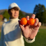Trust Golfbälle Aurora Orange - Auffällige Golfbälle, Kristall-Urethan, 48 Bälle