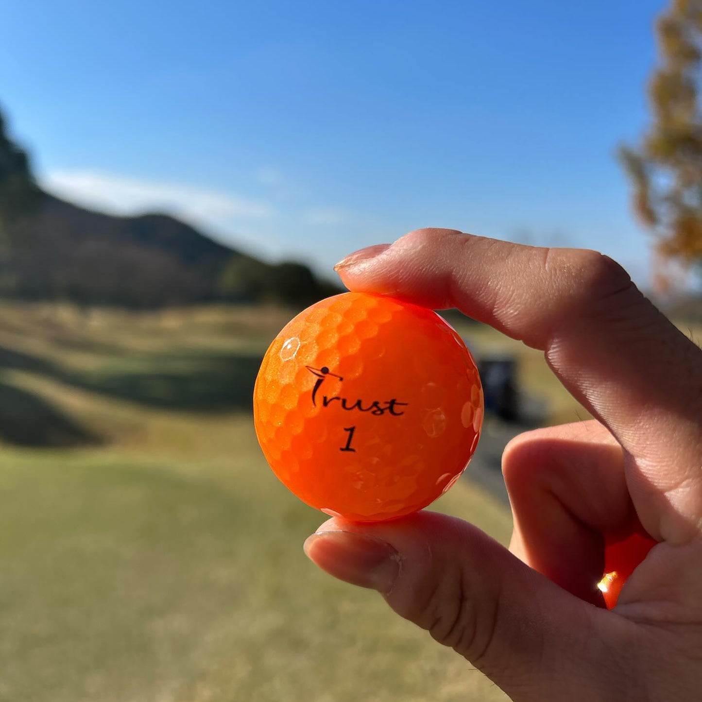 Trust Golfbälle Panther Orange – Auffällige Golfbälle, Kristall-Urethan, 12 Bälle